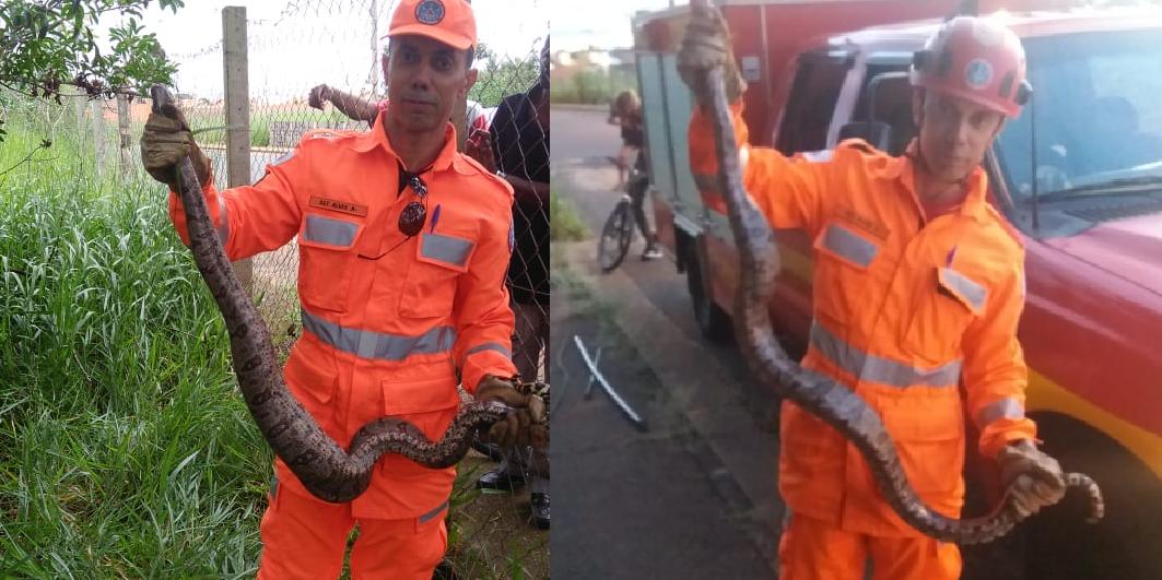 (Divulgação/ Corpo de Bombeiros)