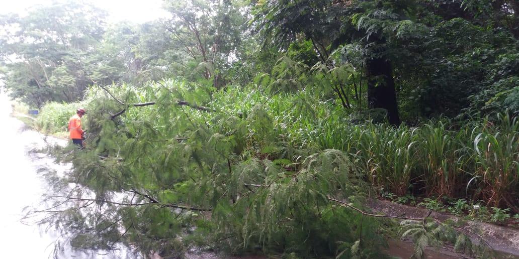  (Corpo de Bombeiros / Divulgação)