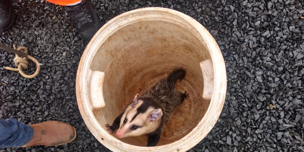 (Bombeiros/Divulgação)