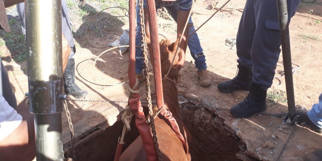 (Corpo de Bombeiros/Divulgação)