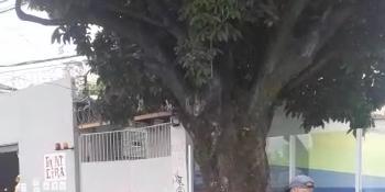 (Paulo Henrique Lobato )