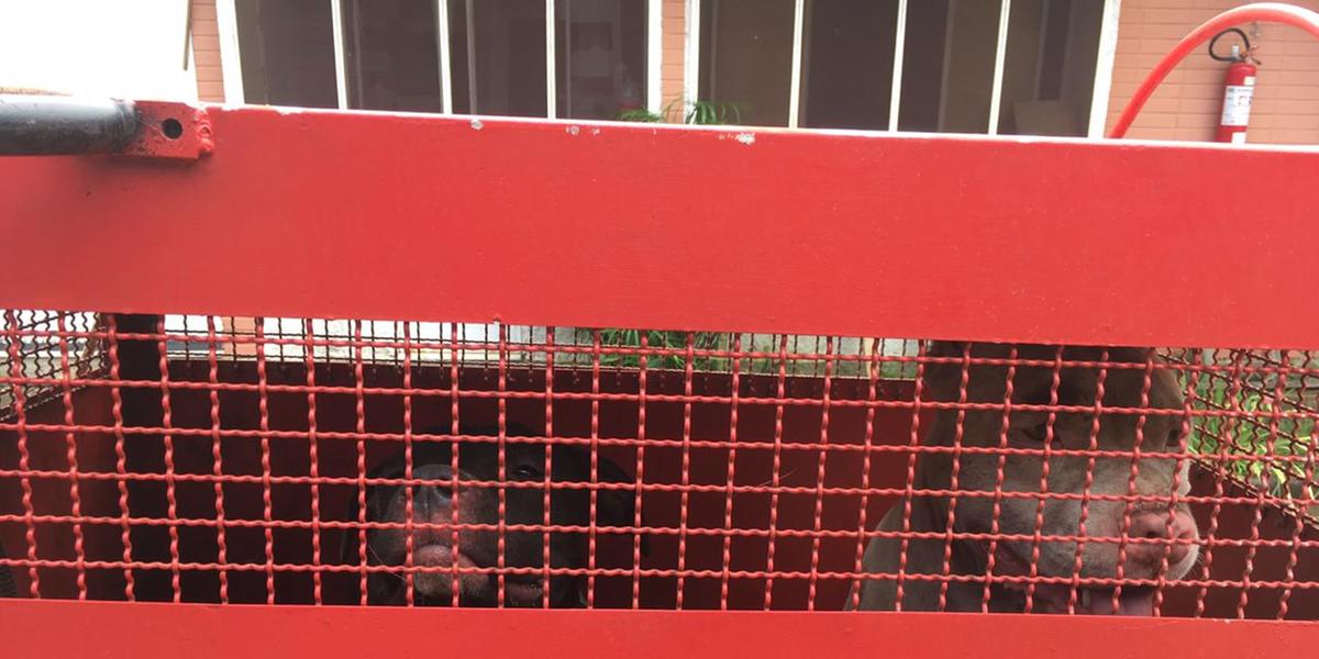  (Divulgação/ Corpo de Bombeiros )