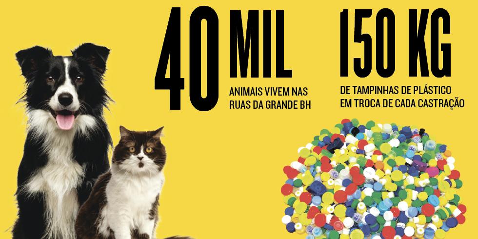 (Editoria de Arte / Hoje em Dia)