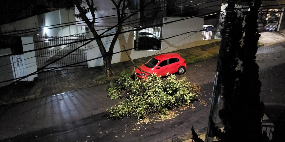 (Reprodução/WhatsApp)