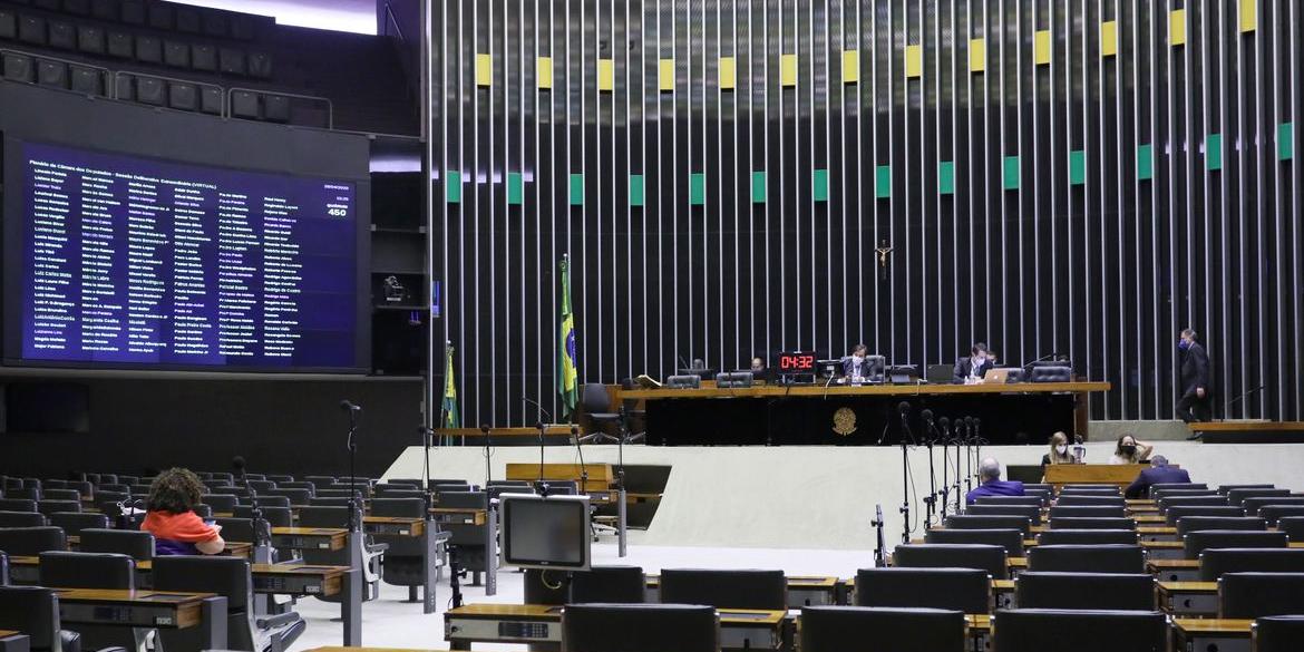 (© Najara Araújo/Câmara dos Deputados)