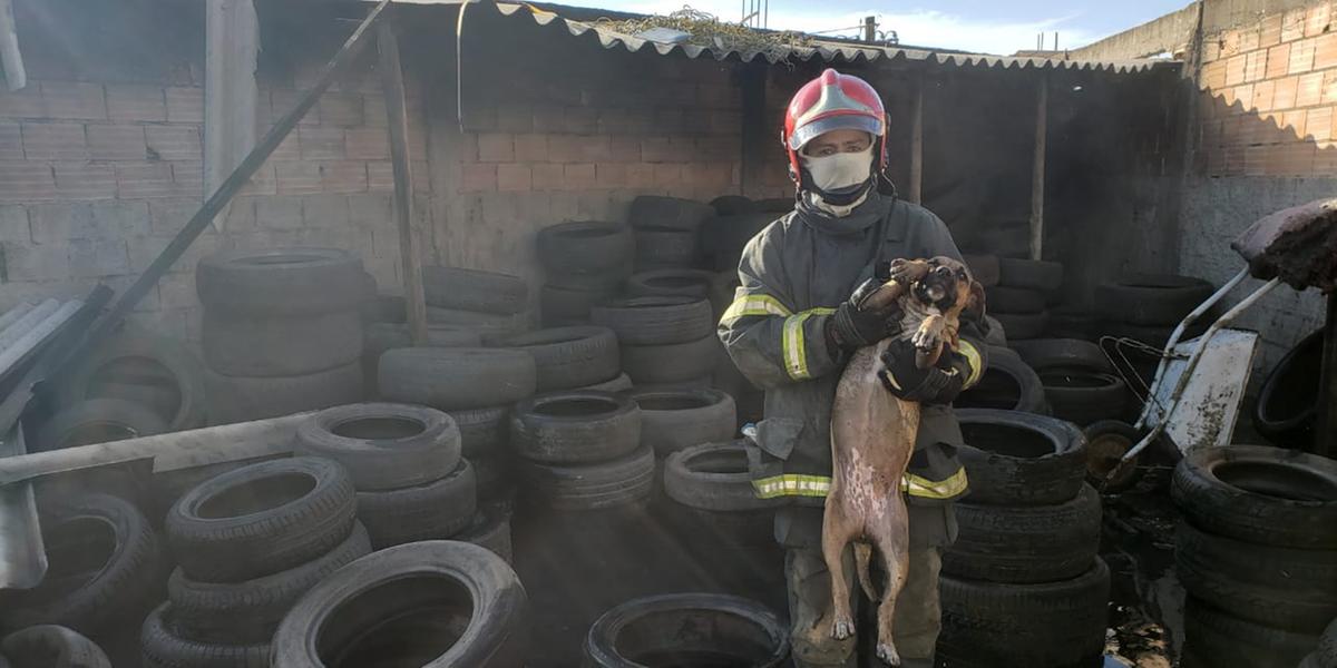 (Corpo de Bombeiros/Divulgação)