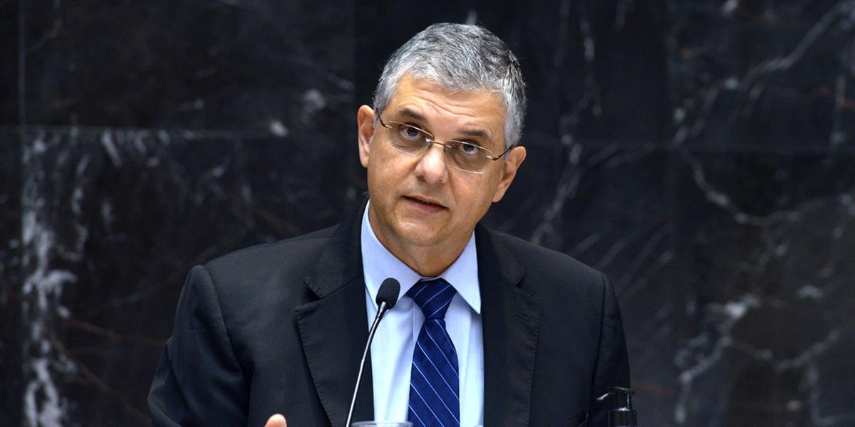(Daniel Protzner/ALMG/divulgação)