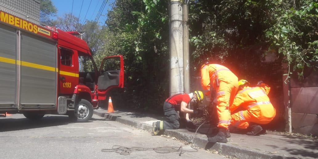  (Corpo de Bombeiros/Divulgação)