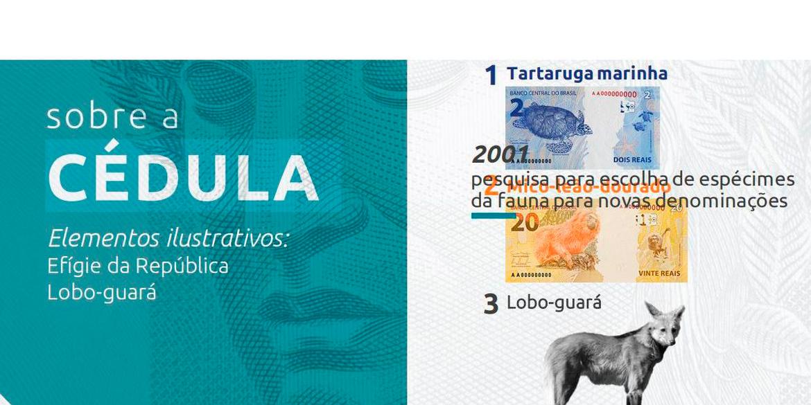  (Divulgação )