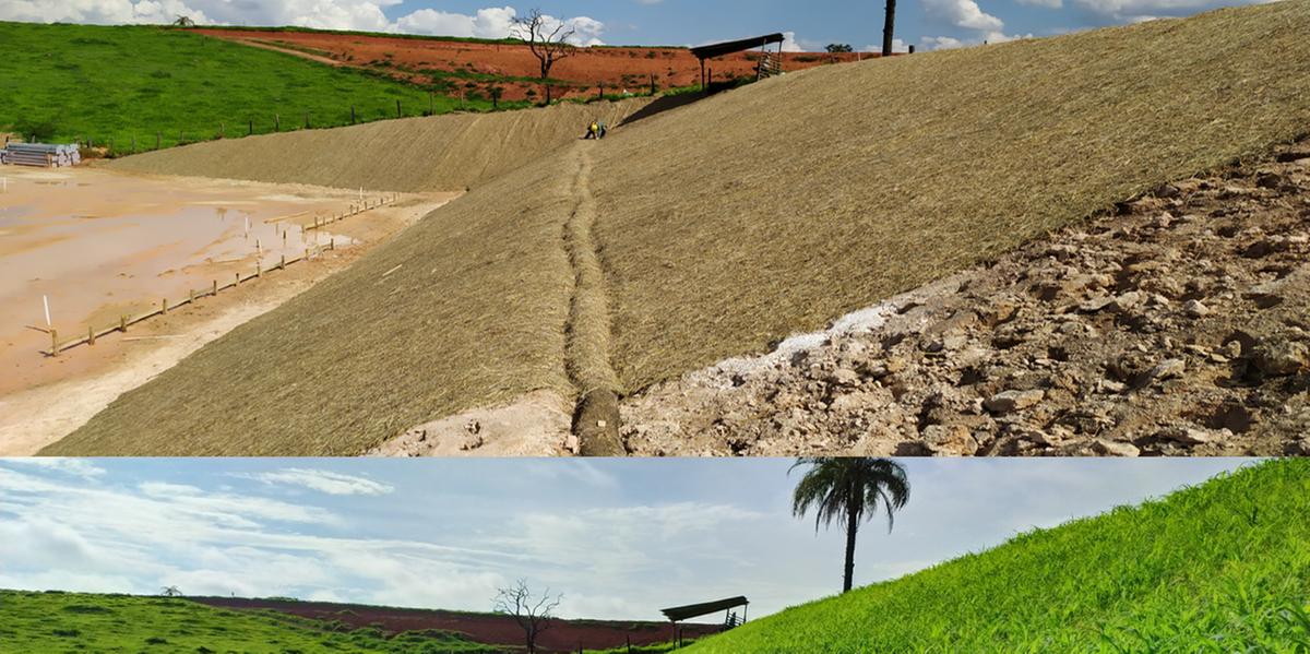 (Divulgação/Vale)