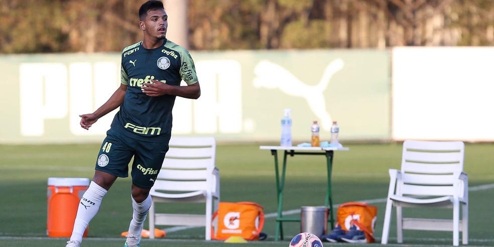  (Cesar Greco / Ag. Palmeiras)