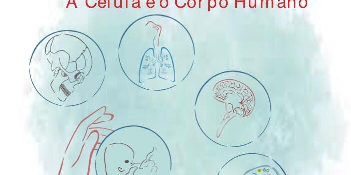 (UFPI/Reprodução)