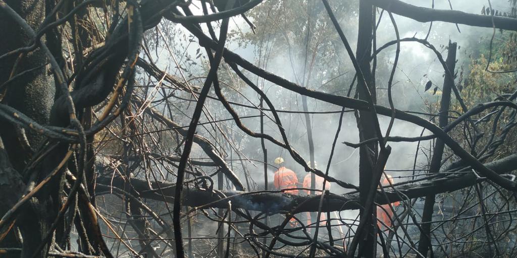 (Corpo de Bombeiros/Divulgação)