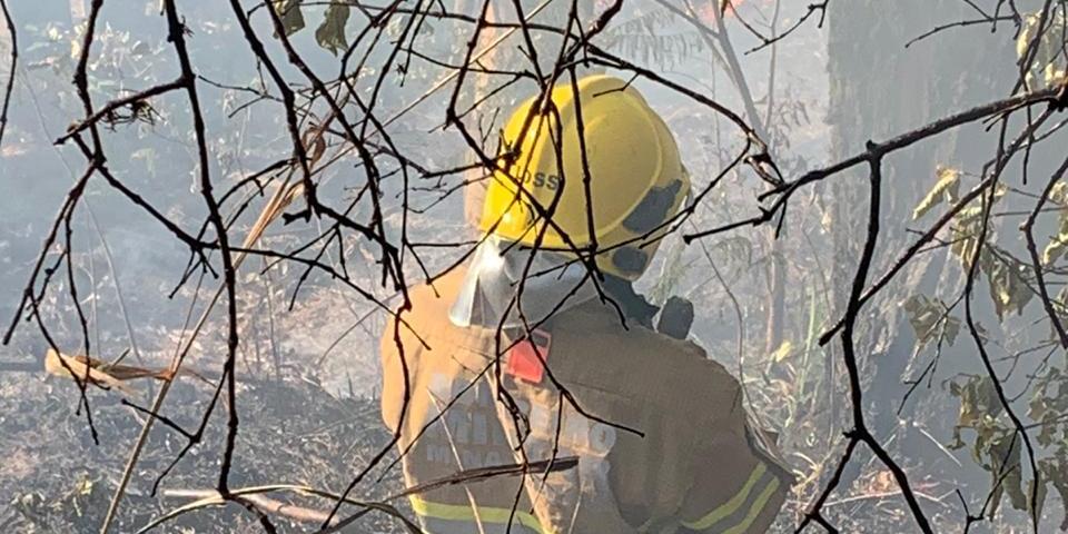 (Corpo de Bombeiros/Divulgação)