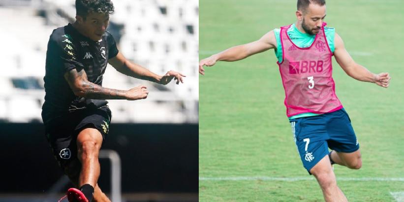 (Botafogo/Twitter/Reprodução Alexandre Vidal/Flamengo)