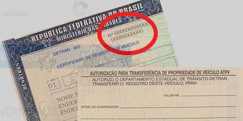  (Divulgação/ Detran-MG)