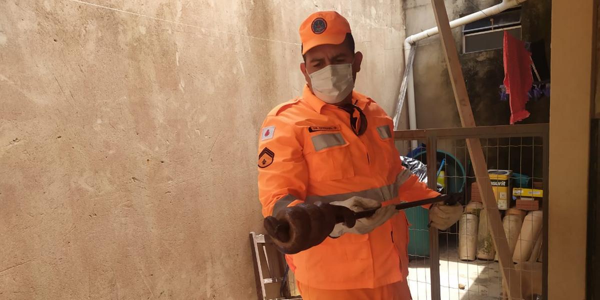 (CORPO DE BOMBEIROS/DIVULGAÇÃO)
