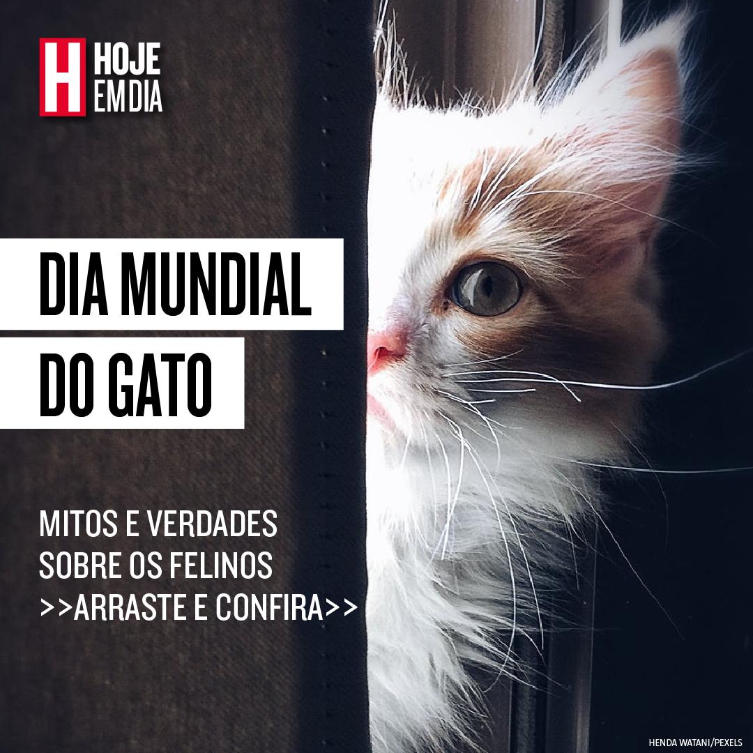 No Dia Mundial do Gato, relembre 14 personagens inspirados no felino, Cultura