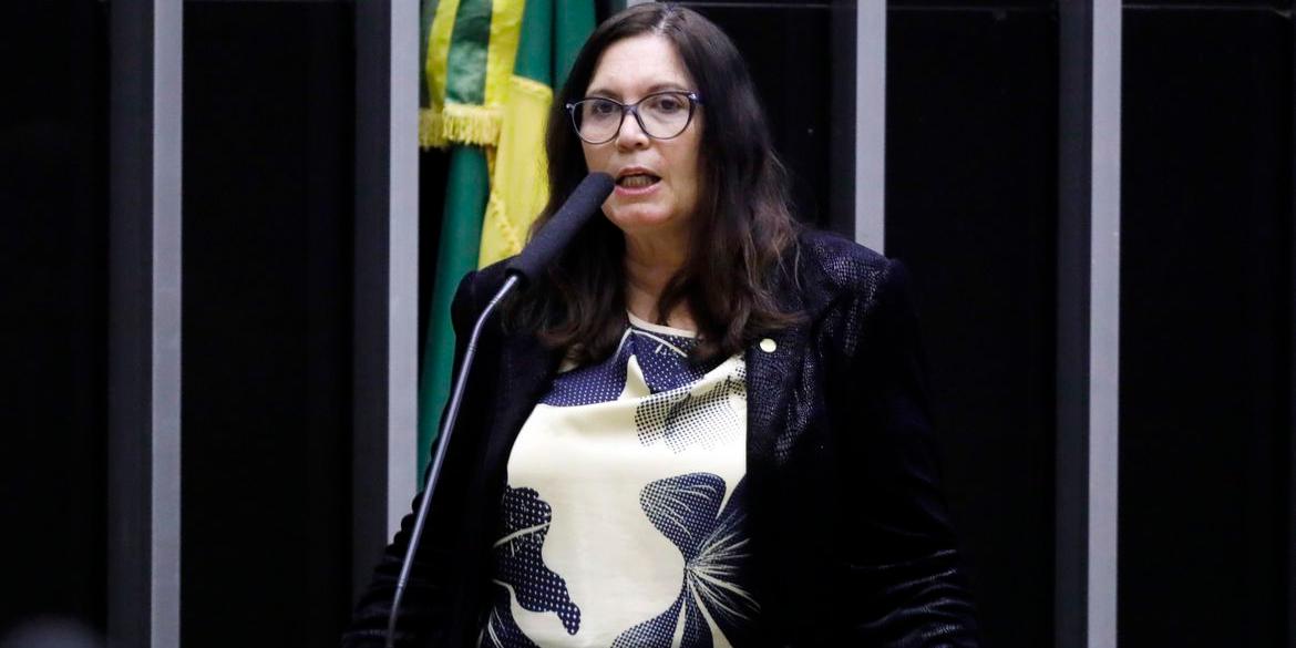 (Maryanna Oliveira/Câmara dos Deputados)