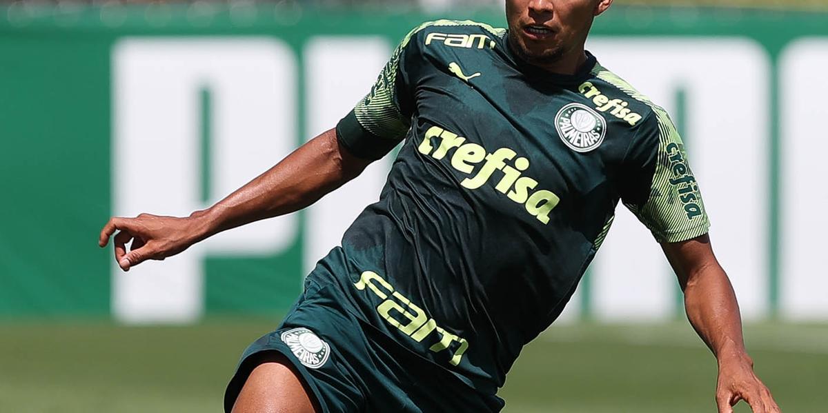  (Cesar Greco/Palmeiras)