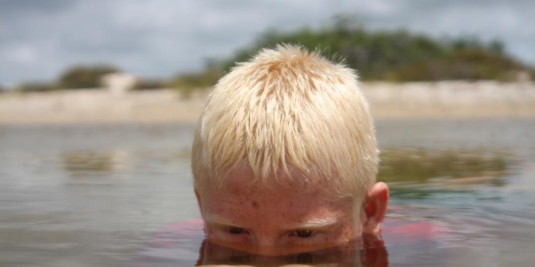  (Divulgação)