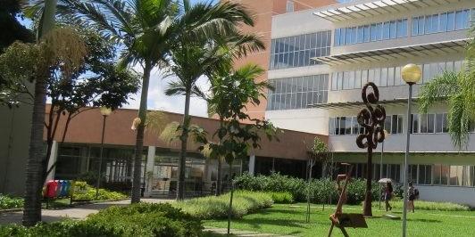 (Divulgação/ UFMG)