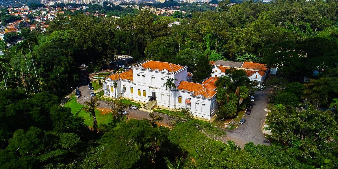 (Divulgação/ Instituto Butantan)