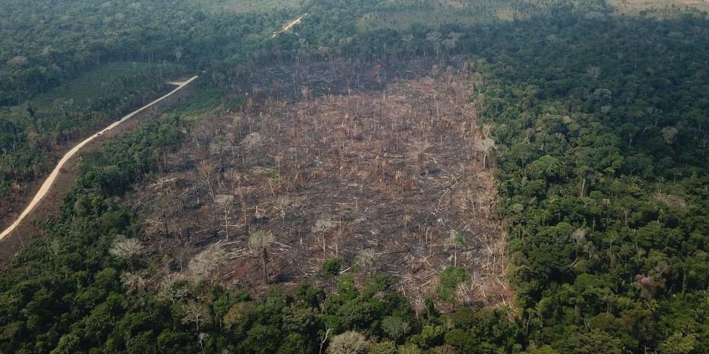  (OP Verde Brasil/17)