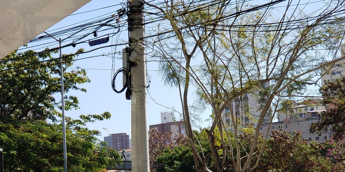  (Reprodução/Twitter)