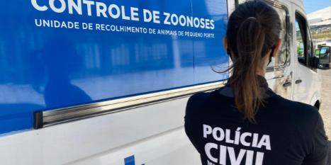 (Reprodução / Polícia Civil )