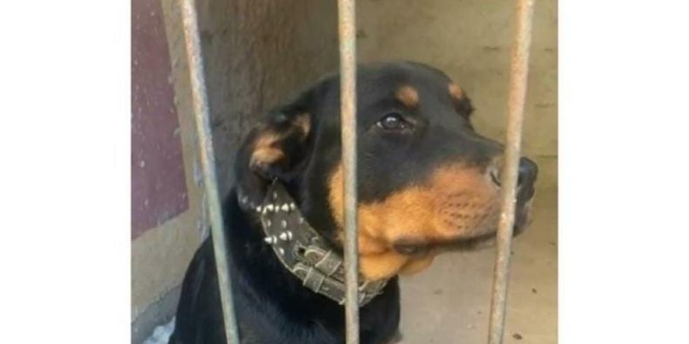 (Reprodução / Redes Sociais )