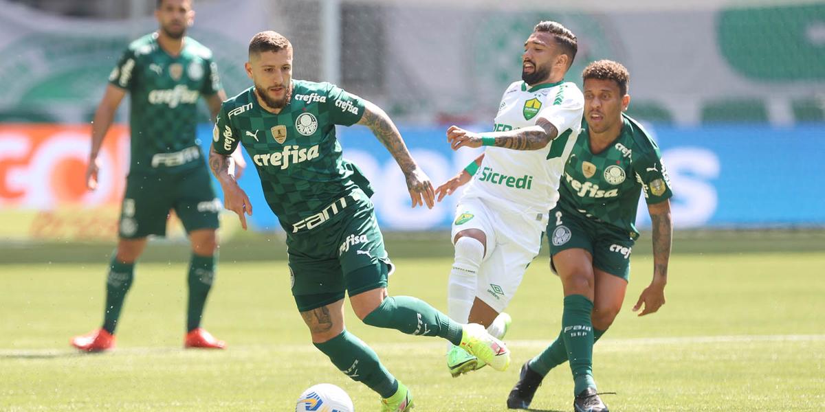(Cesar Greco/Palmeiras)