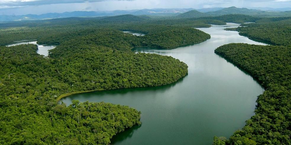 (Parque Estadual Rio Doce/ Divulgação)