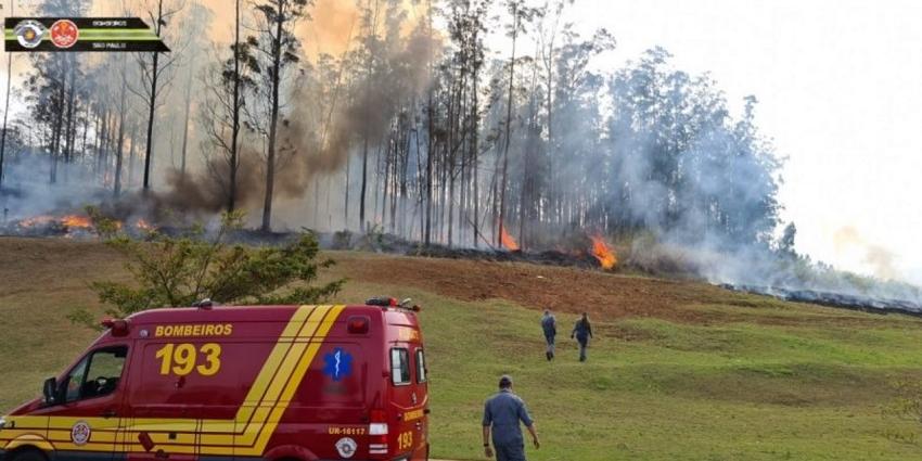  (Reprodução/Corpo de Bombeiros)