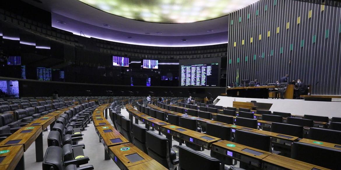 Debates, votações e deliberações da Casa seguirão no sistema remoto (Foto: Cleia Viana/ Câmara dos Deputados)