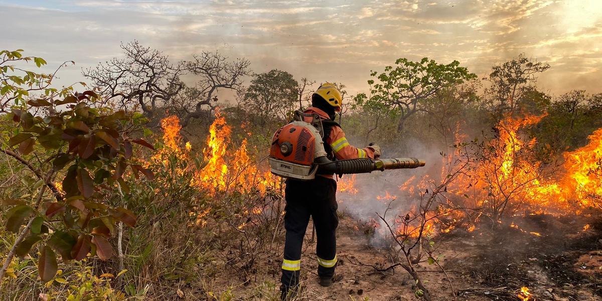 (Foto: Corpo de Bombeiros/ Divulgação)