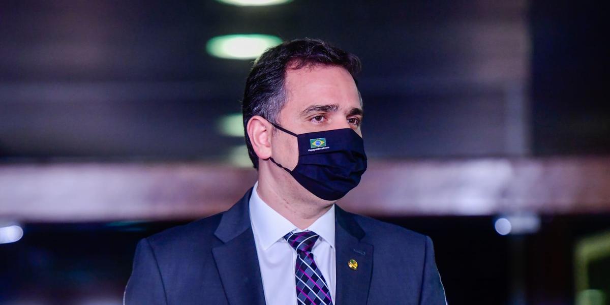 (Divulgação / Senado federal)