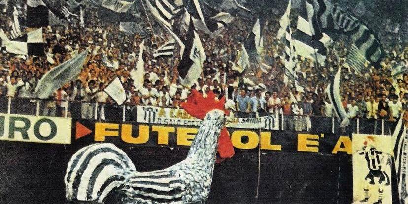 (Arquivo Pessoal)