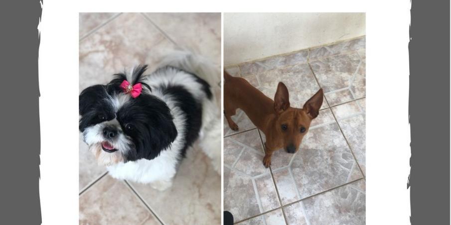 (Arquivo Pessoal/Divulgação)