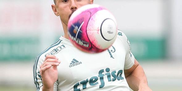 (Cesar Greco/Palmeiras)