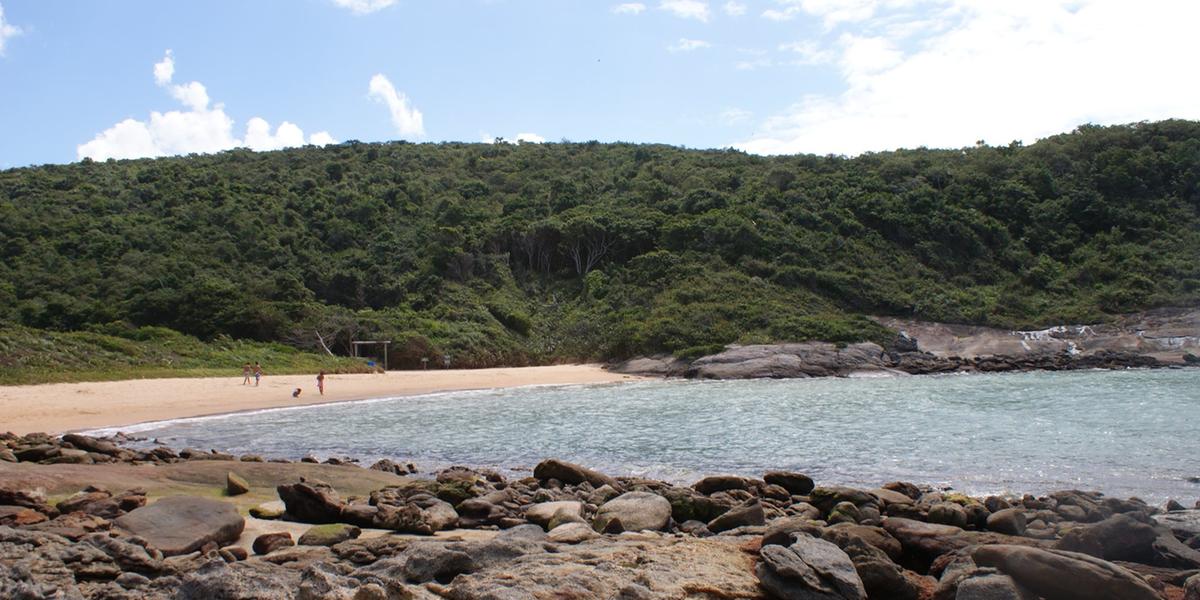 (Reprodução / Redes Sociais Parque Natural Municipal Morro da Pescaria)