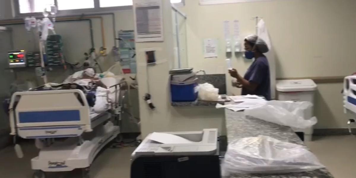 (Hospital da Baleia / Divulgação)