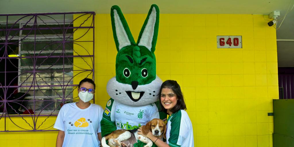 O cãozinho José terá uma casa nova na cidade de Montes Claros, no Norte de Minas (Mourão Panda/AFC)