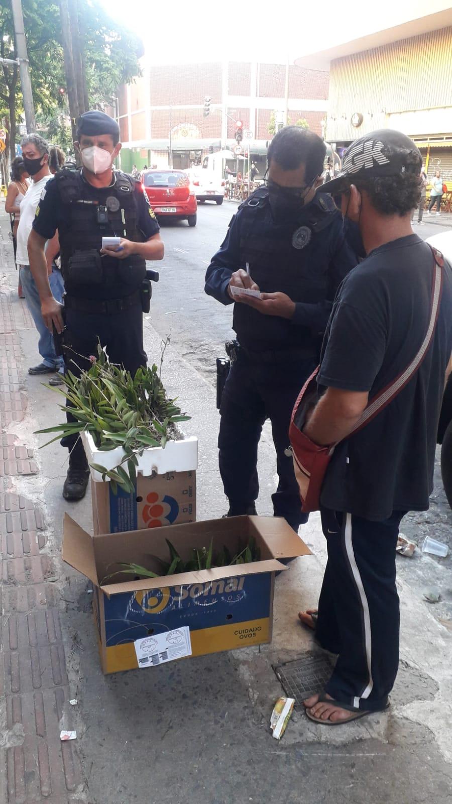 Guarda Municipal abordando homem suspeito de colher orquídeas sem autorização ambiental (Foto: PBH/ Divulgação)