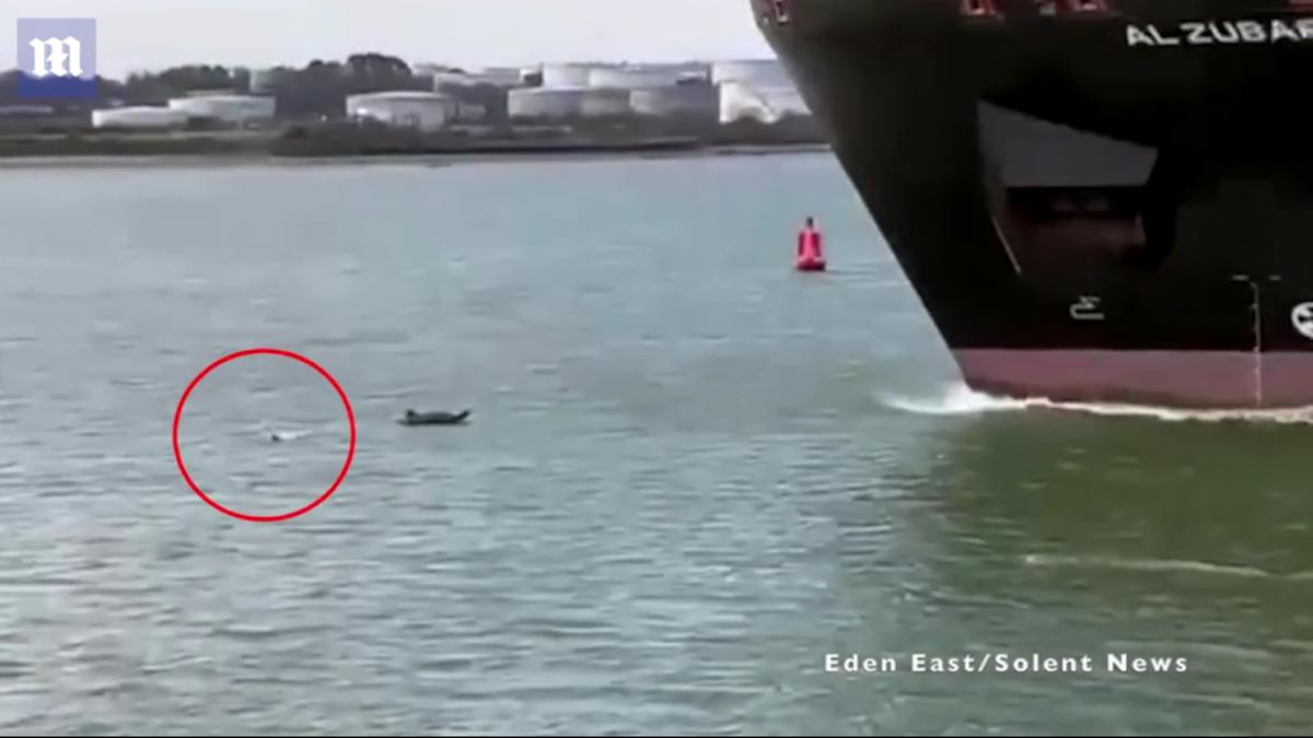 Homem salta no mar e escapa de ser atropelado por enorme navio cargueiro no Reino Unido (YouTube / Island Echo / Reprodução)