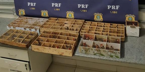 (Foto: PRF/ Divulgação)