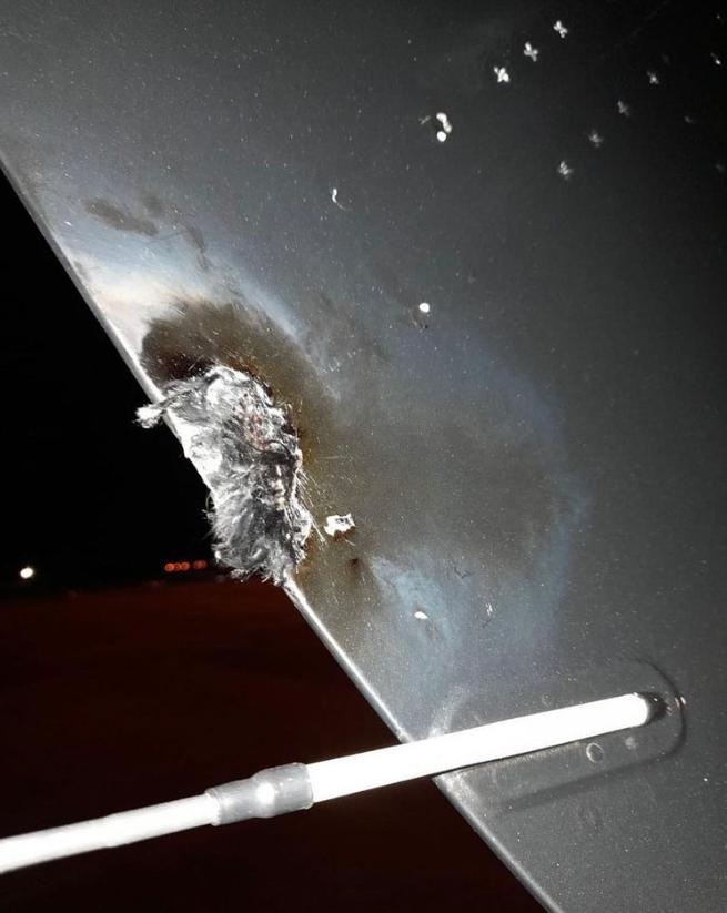 No Instagram, MIley Cyrus exibiu o local do avião atingido pelo raio (Instagram / mileycyrus / Reprodução)