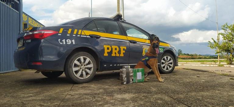 (PRF / Divulgação)