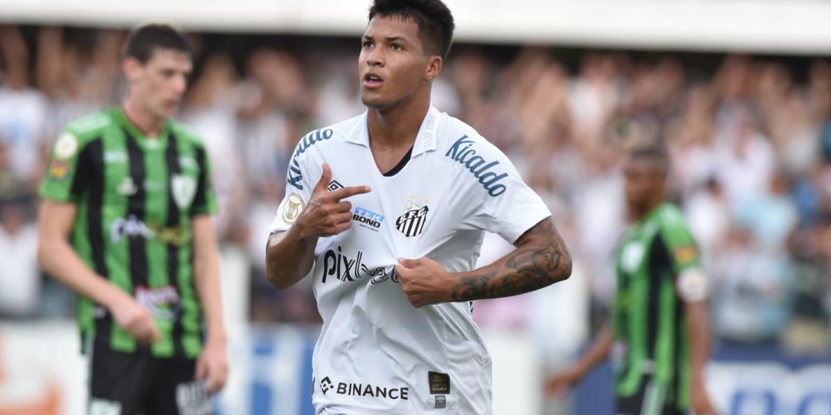  (Santos/Twitter/Reprodução)