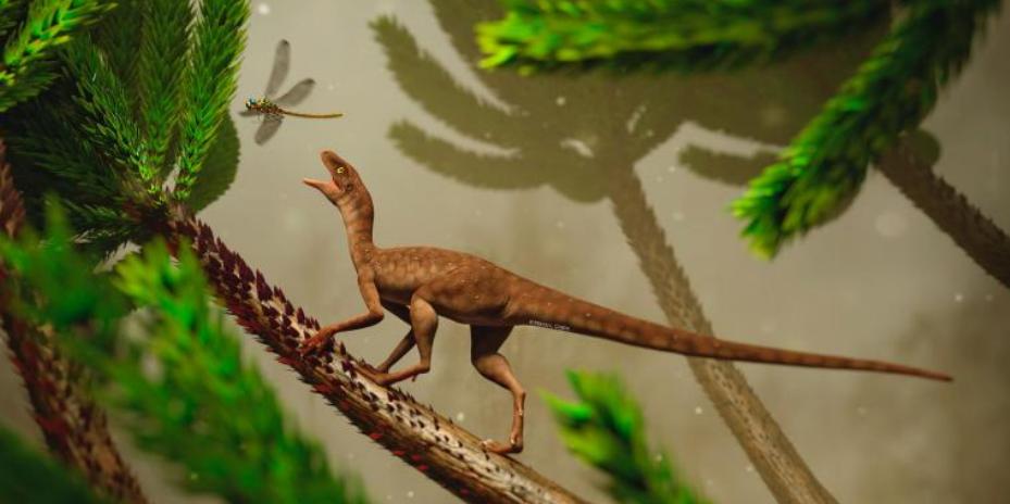 Faxinalipterus minimus, proveniente de rochas do Triássico, com cerca de 225 milhões de anos, encontrado no Rio Grande do Sul (Divulgação)